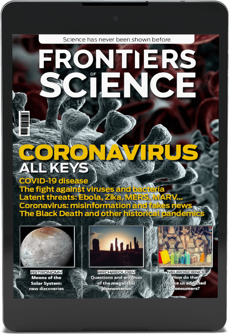 Special Issue 1 (English)